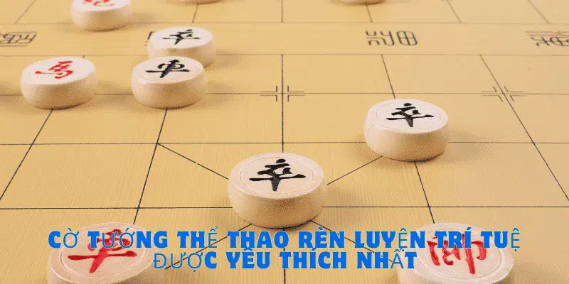 Cờ Tướng Thể Thao Rèn Luyện Trí Tuệ Được Yêu Thích Nhất