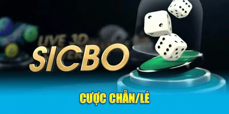 Cược chẵn/lẻ