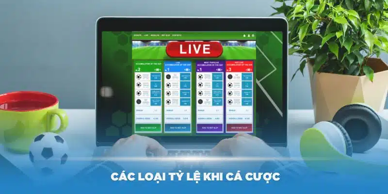 Tìm hiểu các loại tỷ lệ cược trực tuyến